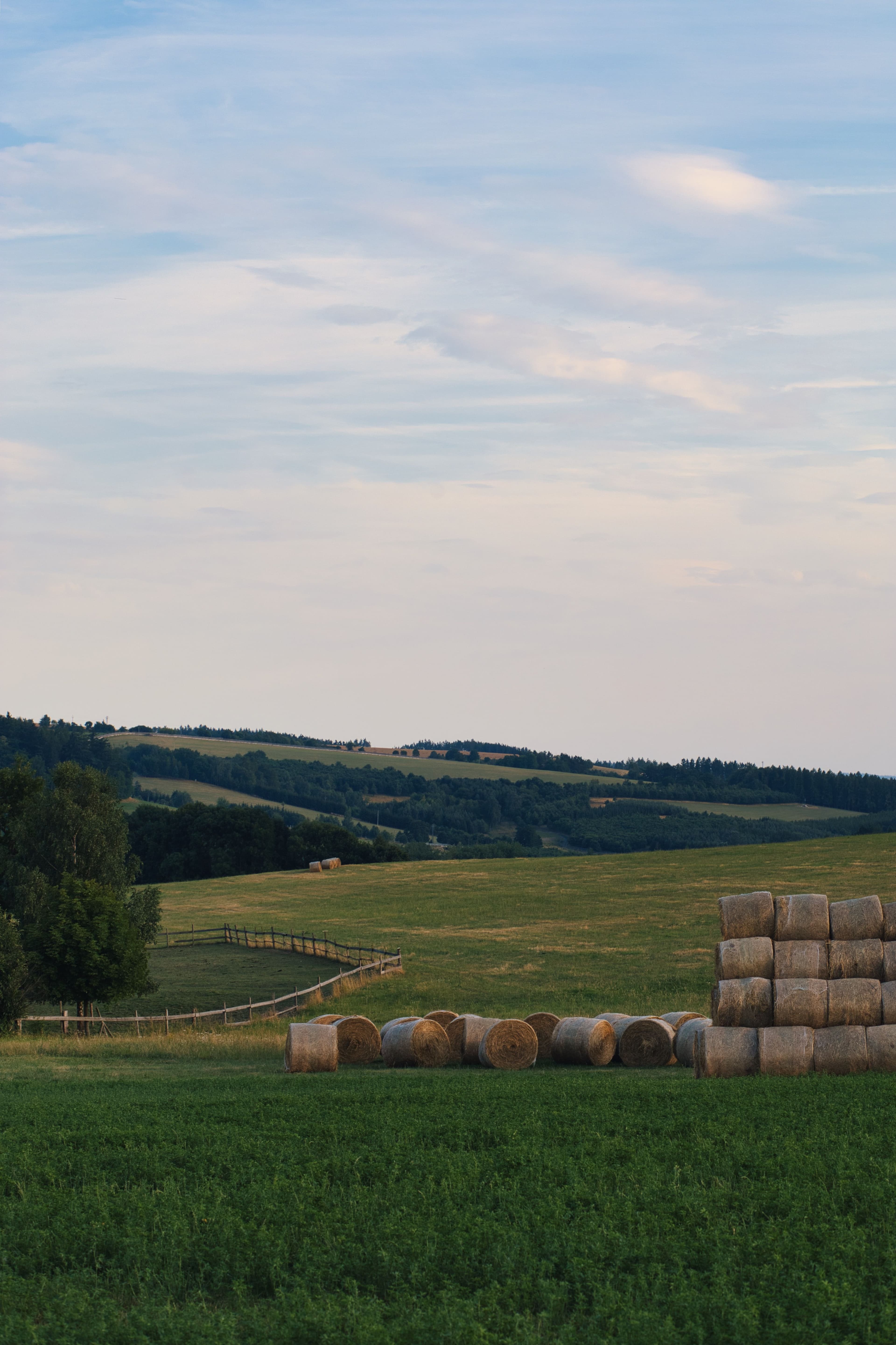 Farmers
